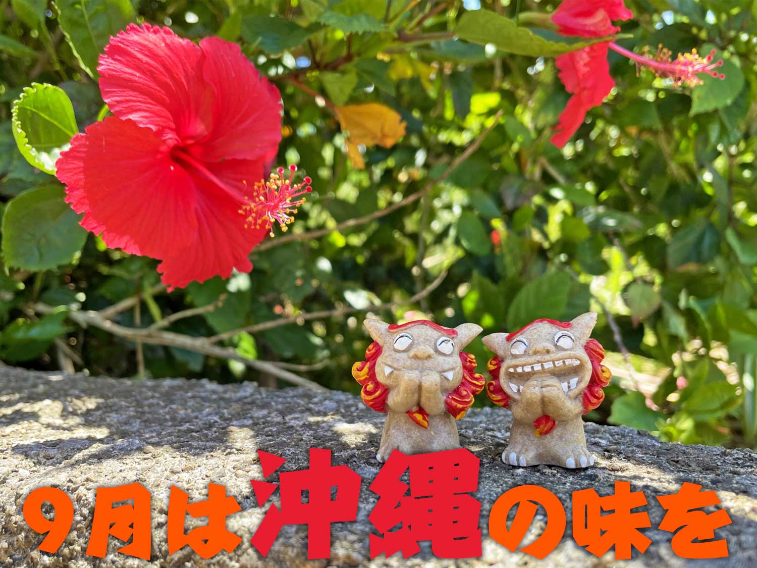 トピック画像 1